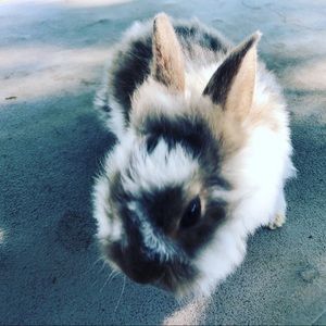 Meet your Posher, Alison